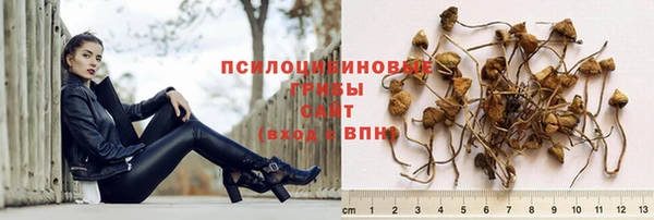 мяу мяу мука Переславль-Залесский