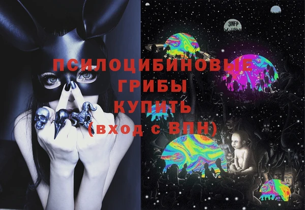 мяу мяу мука Переславль-Залесский