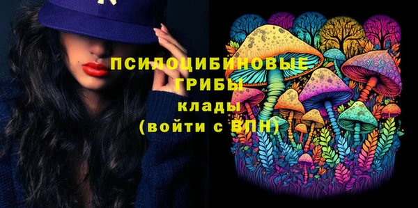 мяу мяу мука Переславль-Залесский