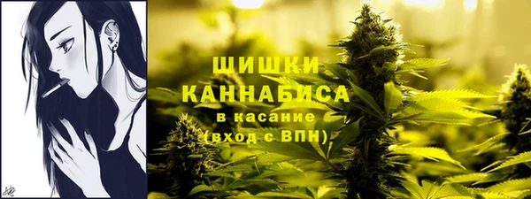 мяу мяу мука Переславль-Залесский